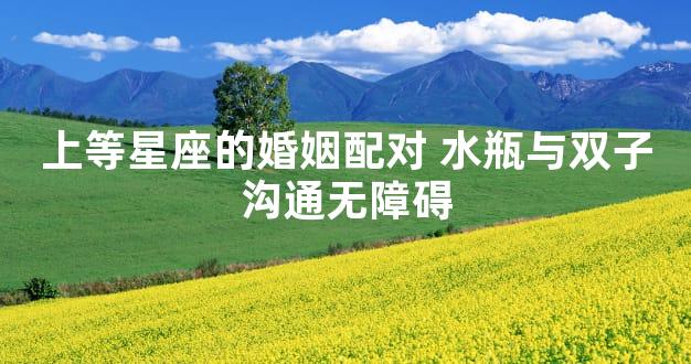 上等星座的婚姻配对 水瓶与双子沟通无障碍